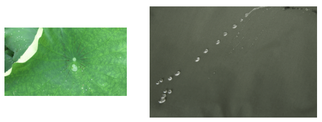 bb贝博Ballbet医用纺织