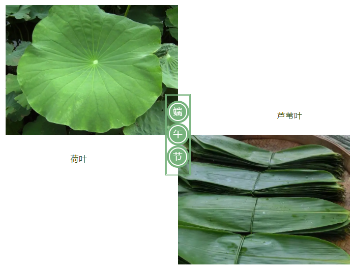 bb贝博Ballbet医纺