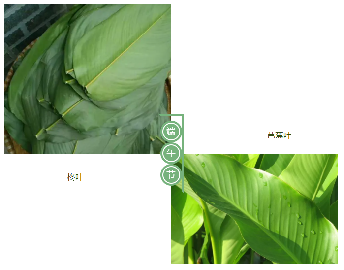 bb贝博Ballbet医纺