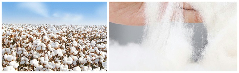 bb贝博Ballbet医纺