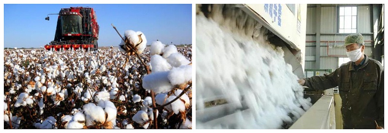 bb贝博Ballbet医纺