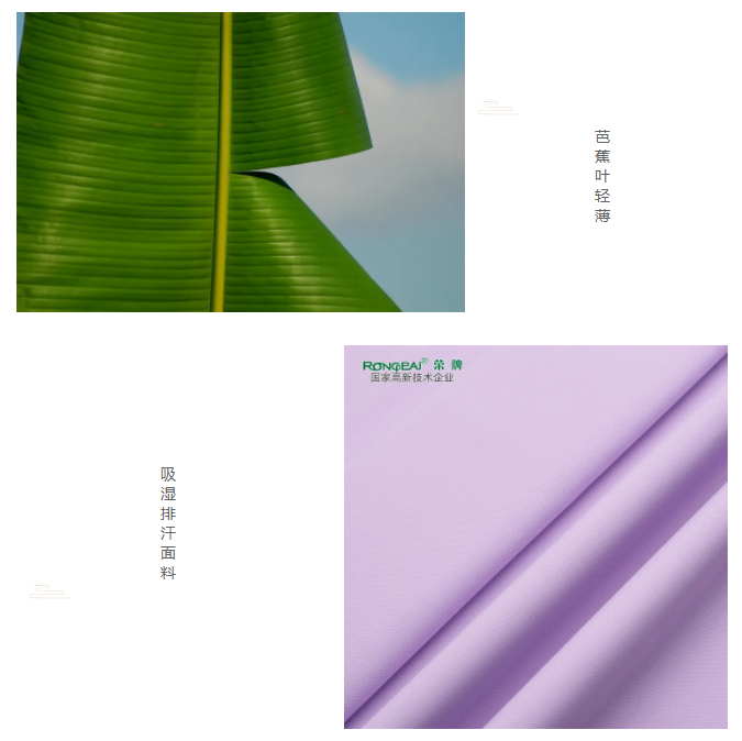 bb贝博Ballbet医纺