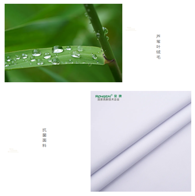 bb贝博Ballbet医纺