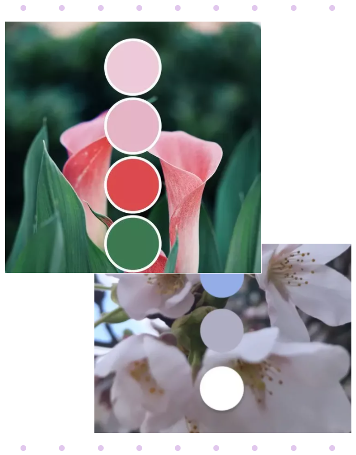 bb贝博Ballbet纺织面料