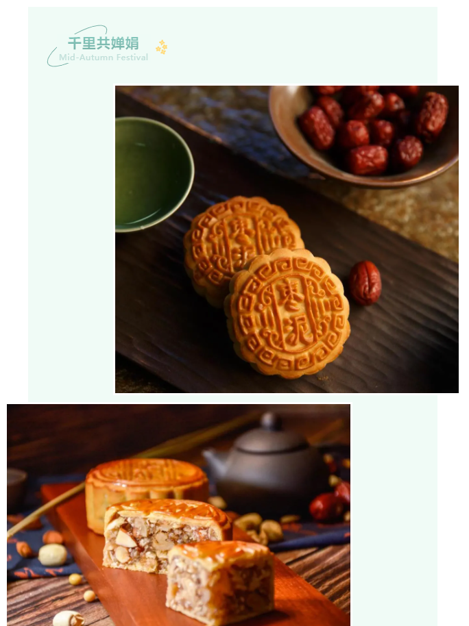 bb贝博Ballbet医纺